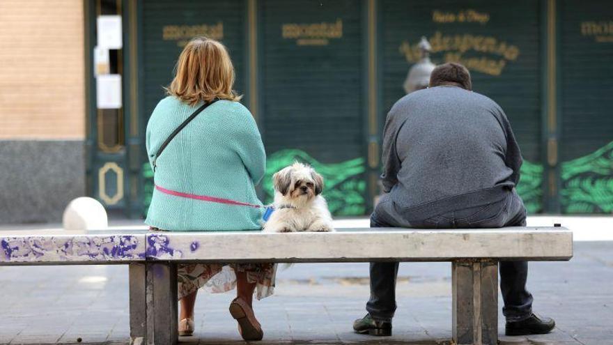 El Ayuntamiento de Zaragoza atenderá las mascotas de los dueños que en situación vulnerable