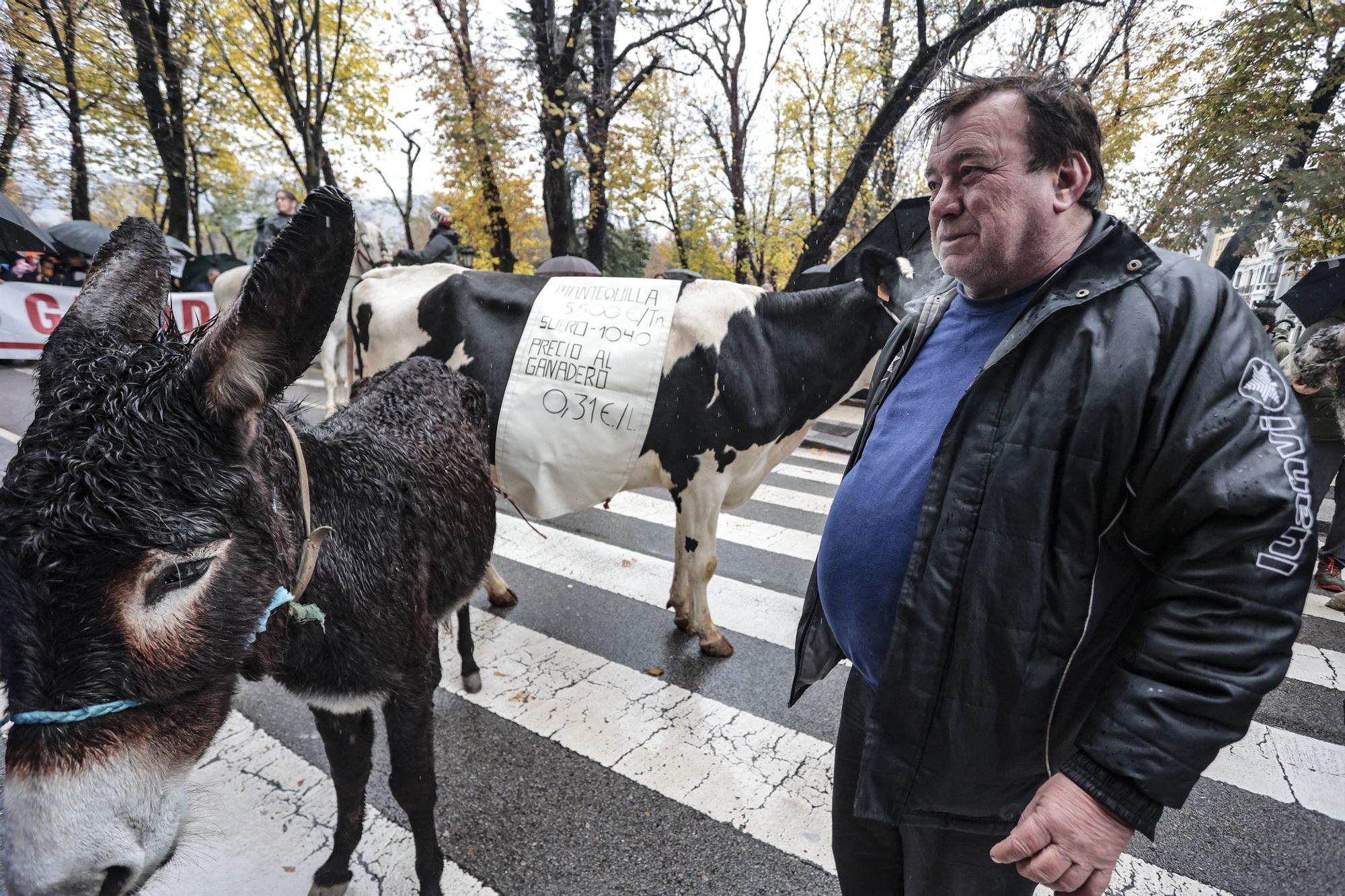 Tractorada en Oviedo de los trabajadores del campo asturiano: "No podemos más"