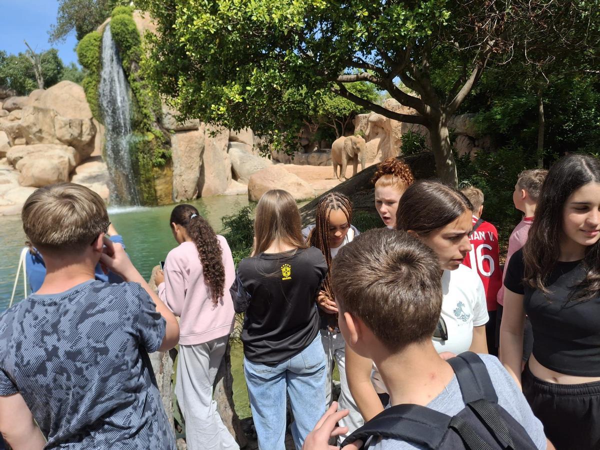 L'excursió al Bioparc de València