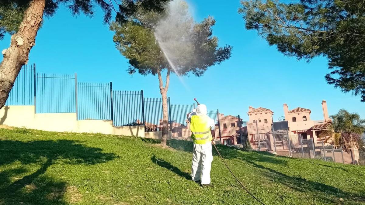 Campaña de fumigación en Alhaurín de la Torre.