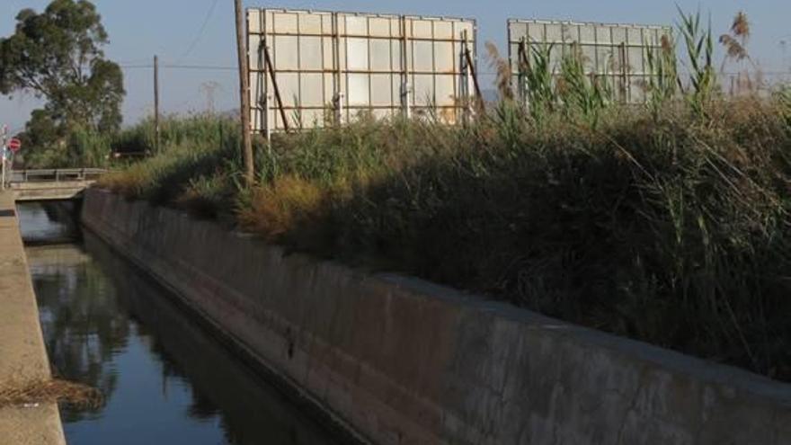Los ecologistas detectan vallas ilegales en San Fulgencio