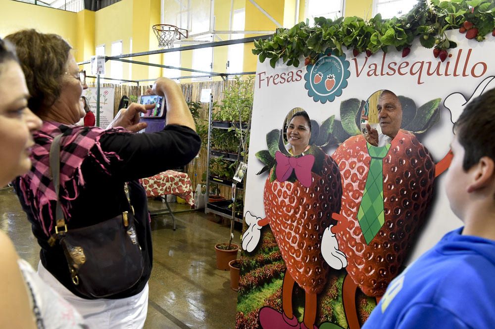 Feria de la fresa de Valsequillo, 2017