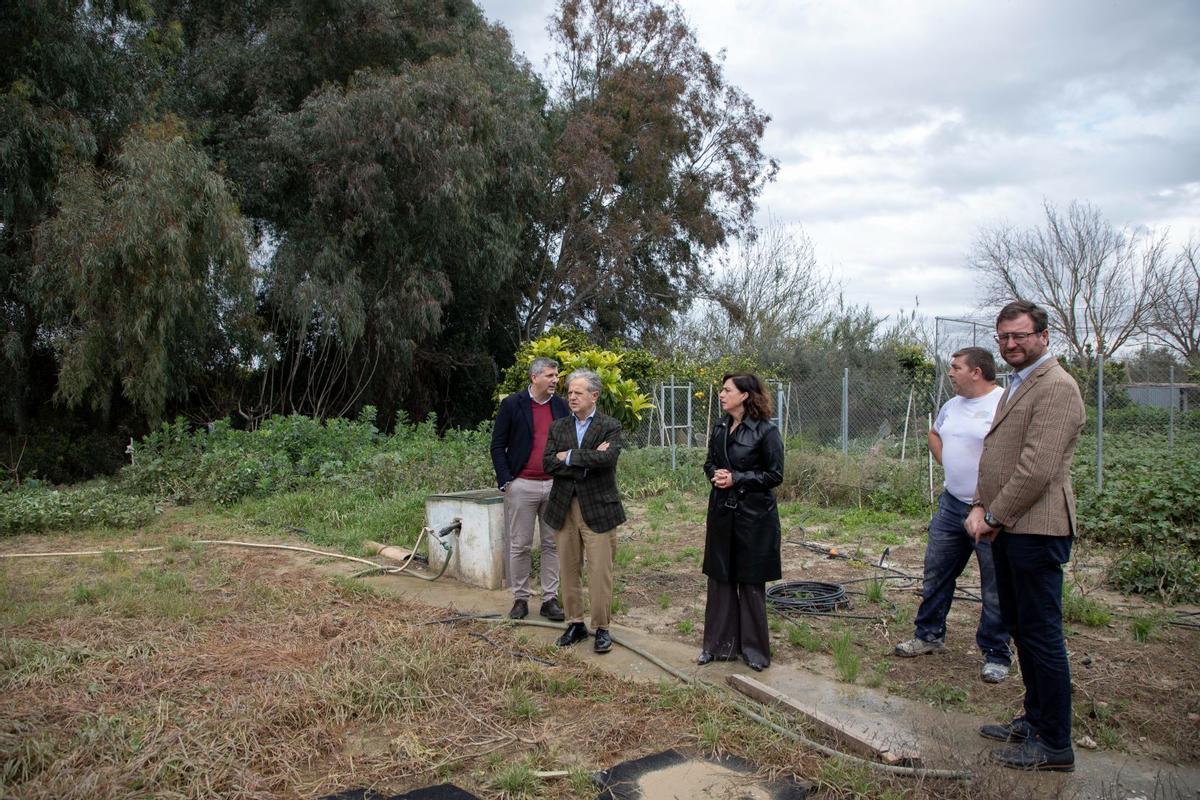El delegado de Agricultura de la Junta, el presidente de la Diputación, la alcaldesa y el concejal, en su visita a la zona de huertas de Palma del Río.