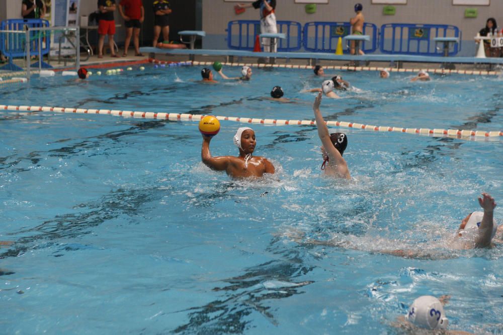 San Pedro 2016: Torneo alevín de waterpolo