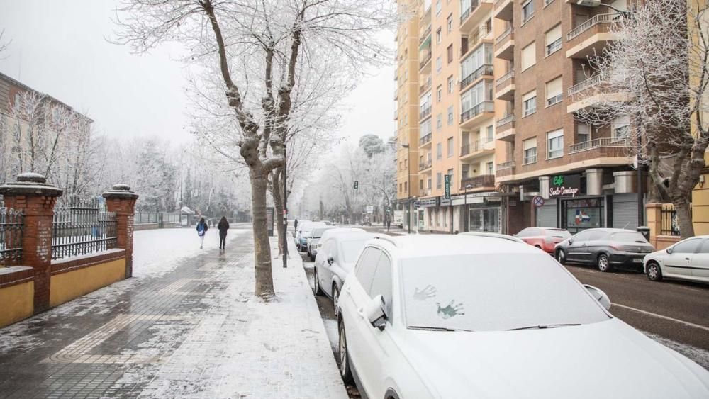 Zamora amanece de blanco por la cencellada