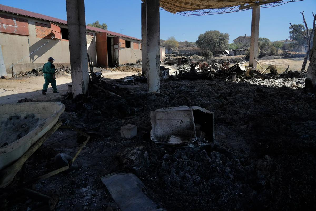 GALERÍA | El paso del fuego por Mámoles arrasa la explotación de Alfredo Fernándes