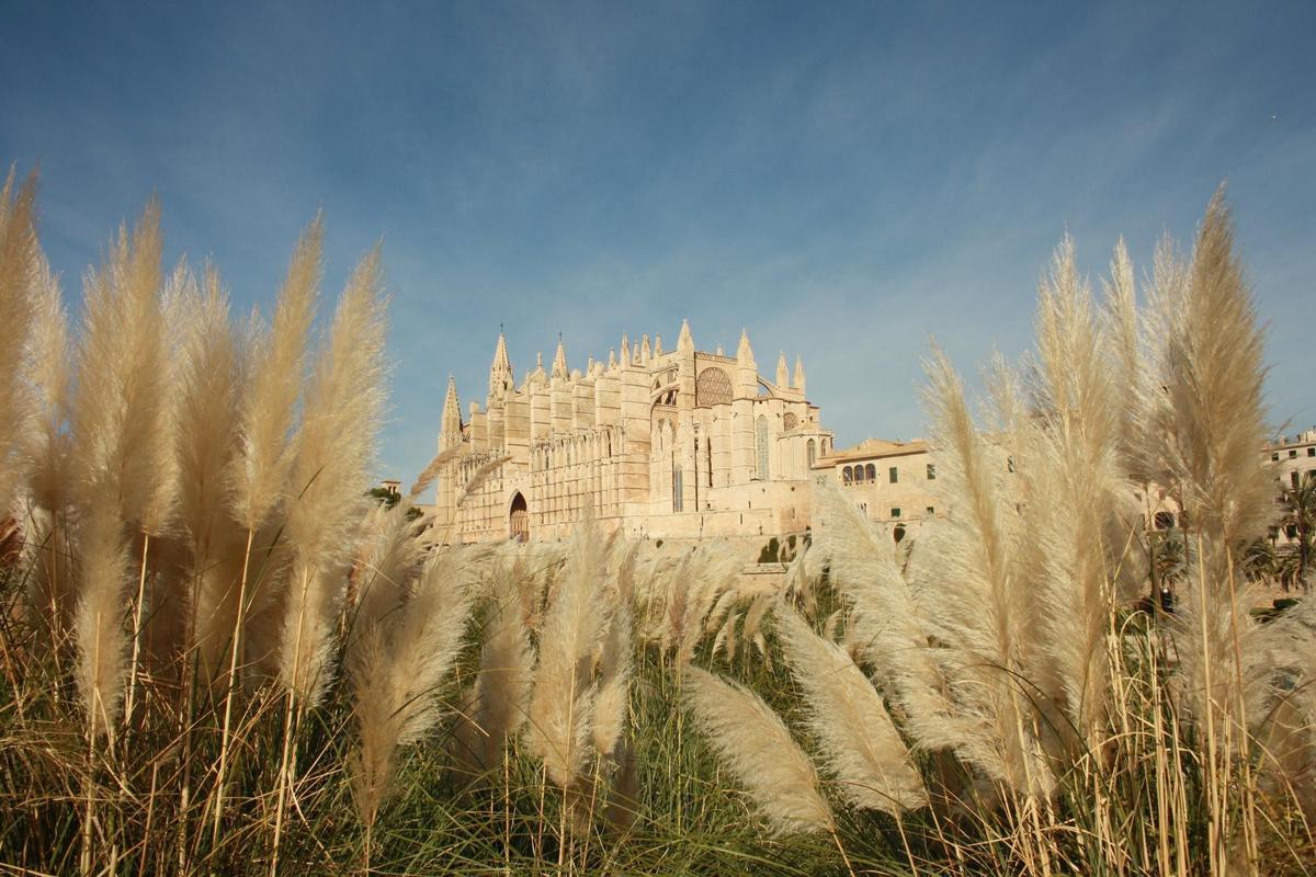 Palma de Mallorca, judío,