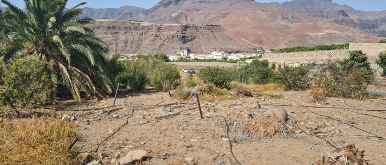 Finca en la que construirá la zona verde y parque canino Piedra La Mesa, en La Aldea.