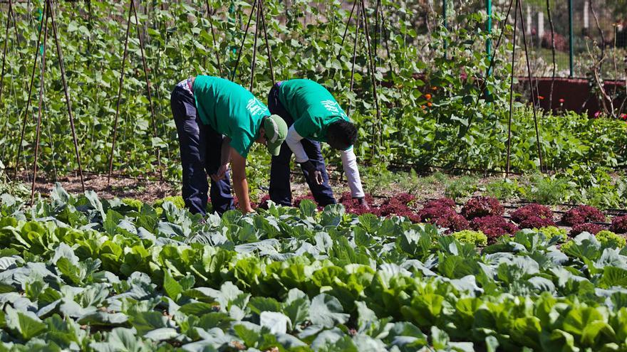 La Obra Social de Acogida atiende a 40 personas más durante la pandemia