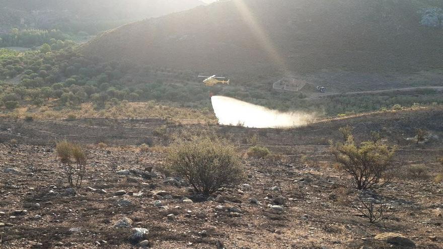 Consecuencias del incendio forestal entre Arándiga y Nigüella (Zaragoza), este miércoles