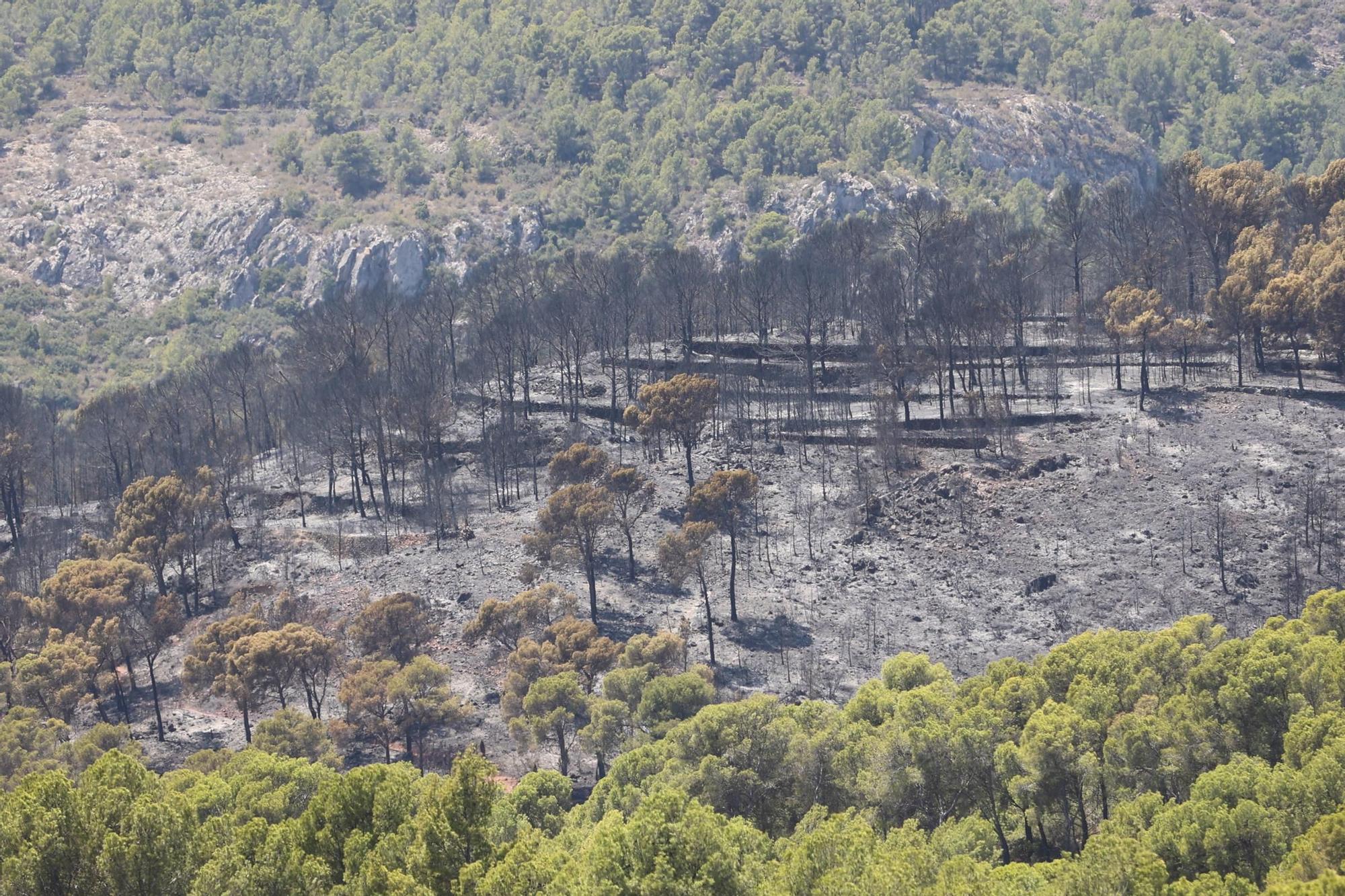 Galería de imágenes: Estabilizan el incendio del Desert