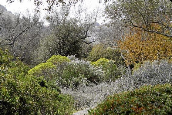 Einer der schönsten Winkel der Insel - das Tal und der Garten von Ariant - kann wieder bei geführten Rundgängen erkundet werden.