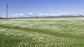 Fotogalería| Tiempo primaveral este jueves