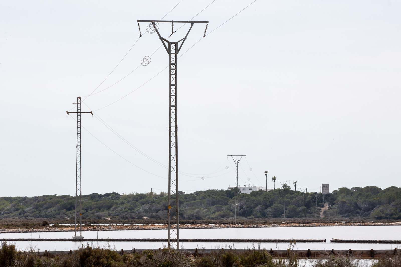 Los tendidos mortales para los flamencos en ses Salines de Ibiza tenían que estar enterrados desde 2009