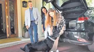 Königs allein zuhause: Felipe VI. verabschiedet Infantin Sofía in Mallorca-Sneakern