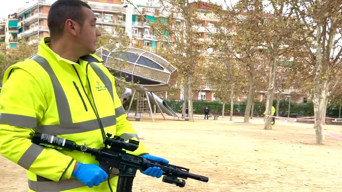 Barcelona  eliminacion de un nido de vespa velutina avispa asiatica en el Parc de la Pegaso  FOTO: MARTÍ  PETIT