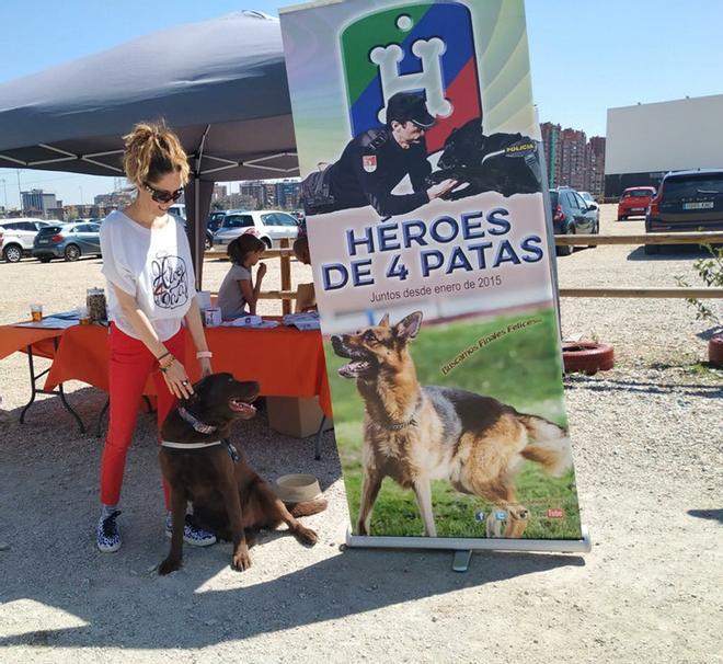 Organización Héroes de 4 Patas