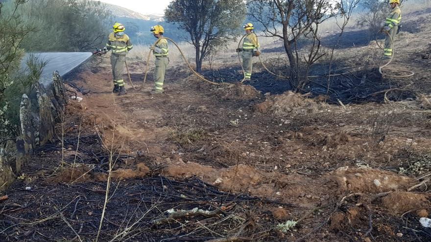 Varios bomberos extinguiendo un fuego