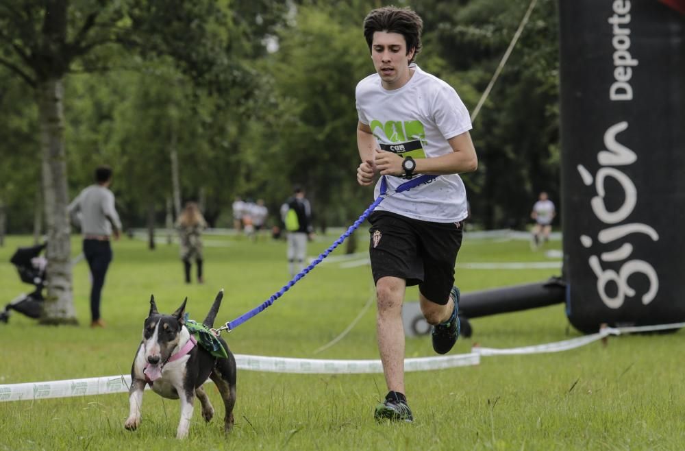 "Can We Run": Deporte, perros y solidaridad toman Gijón