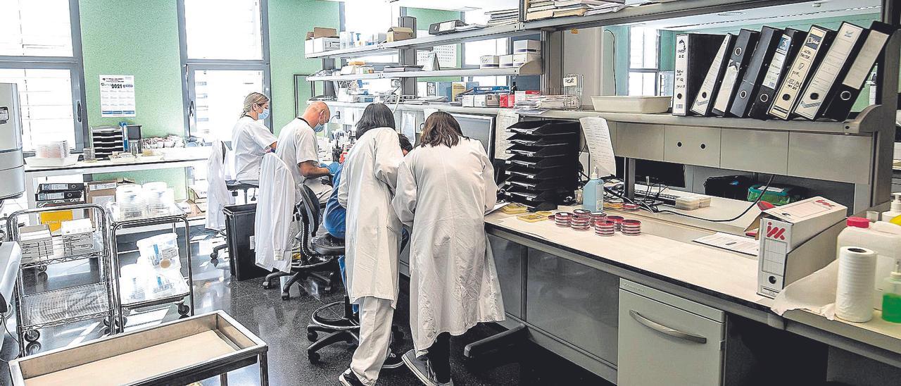 Una imagen del laboratorio de Microbiología de Son Espases donde se realizan las secuenciaciones genómicas.