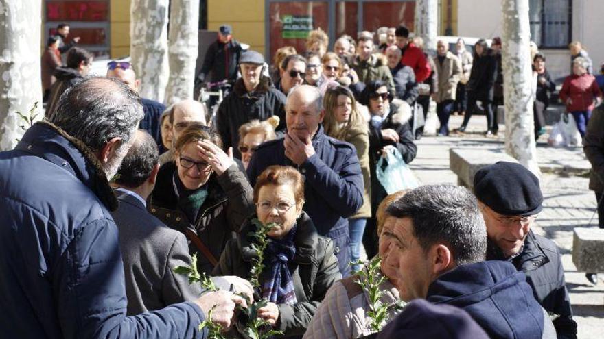 Día Forestal Mundial: Acebos a gogó