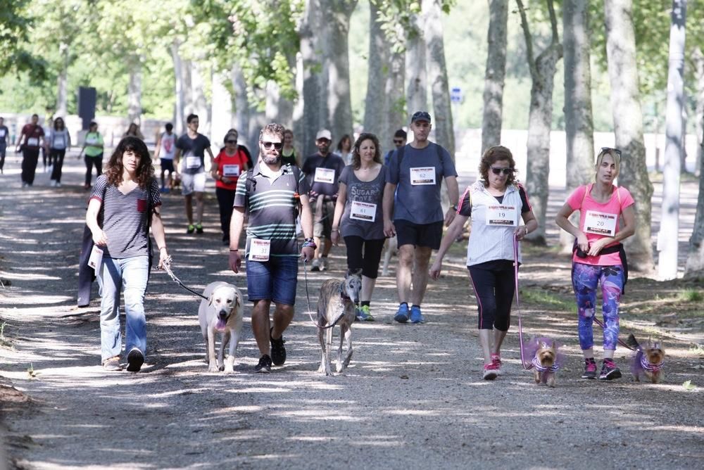 I Marxa Solidària Canina de Diari de Girona