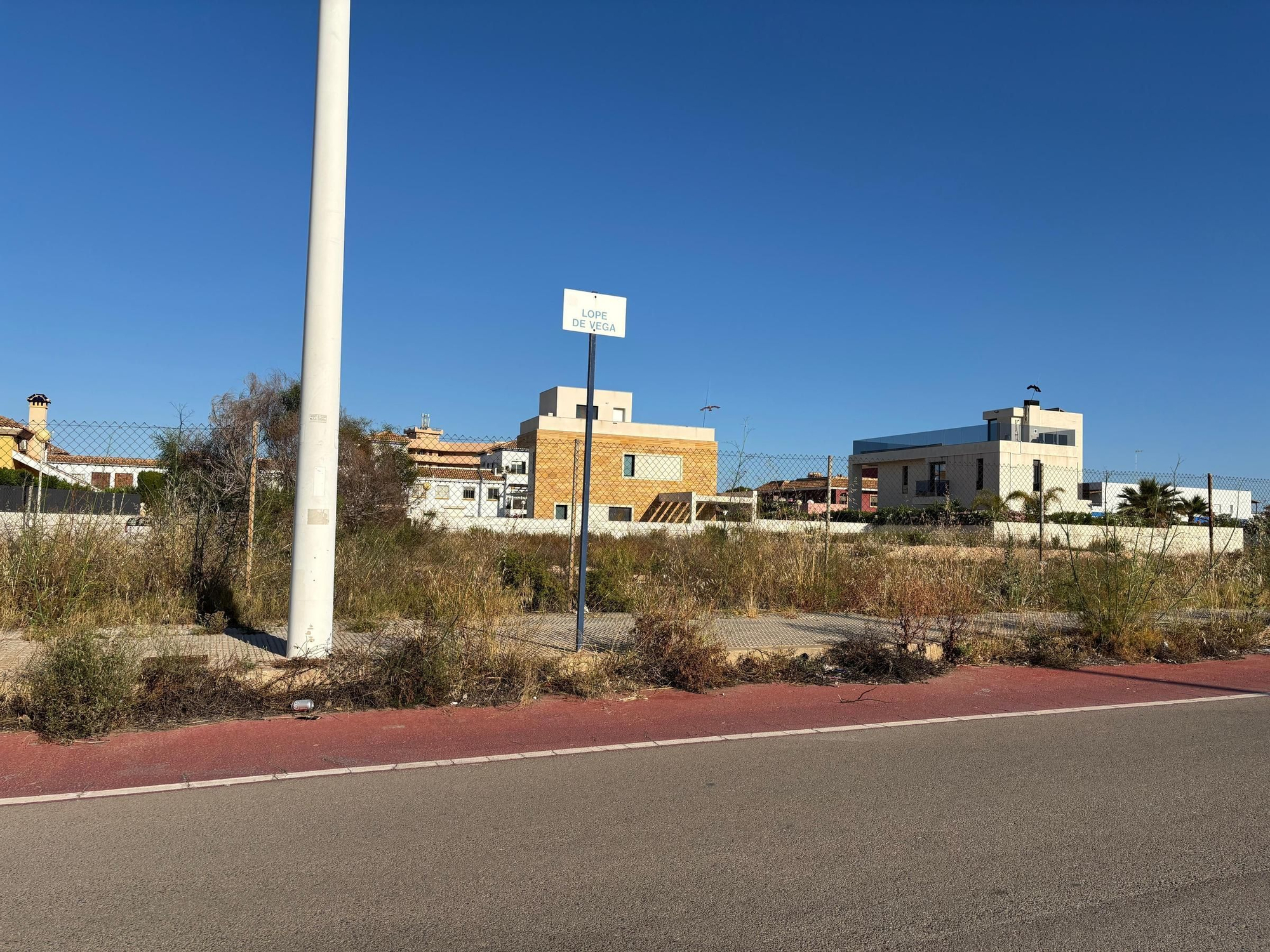 Una jungla sobre el asfalto de Orihuela Costa