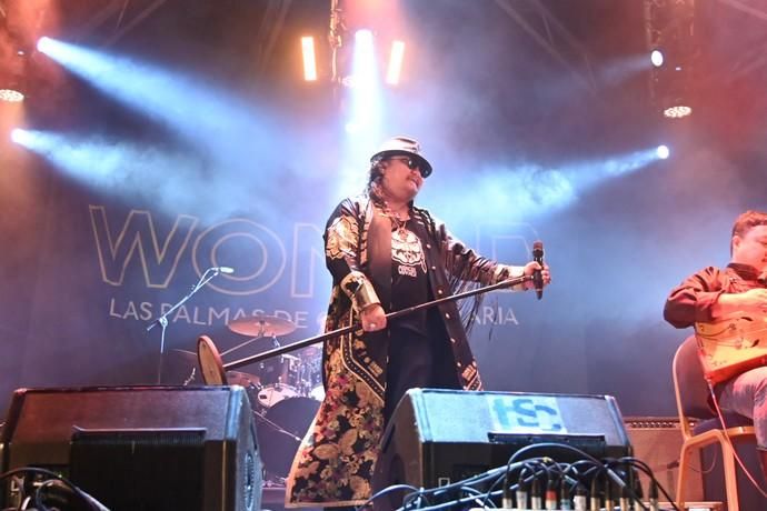 Conciertos del Womad 2019