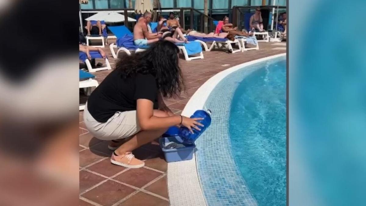 Activistas entran en un hotel de Canarias y le roban el agua de la piscina