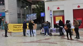 Vecinos de Elche, en guerra contra las plantas solares: "renovables sí, pero no así"