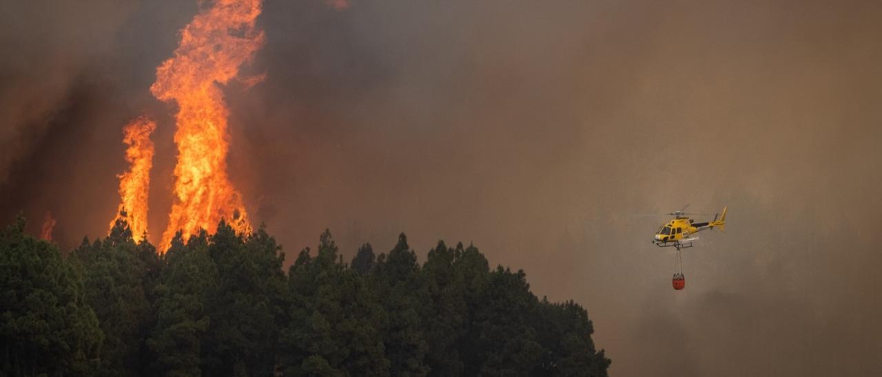 Incendio en Tenerife