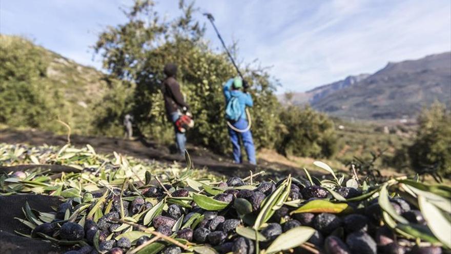 Cooperativas critican a los políticos por no defender la agricultura cordobesa