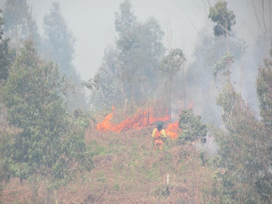 Incendio en la zona de Llanes