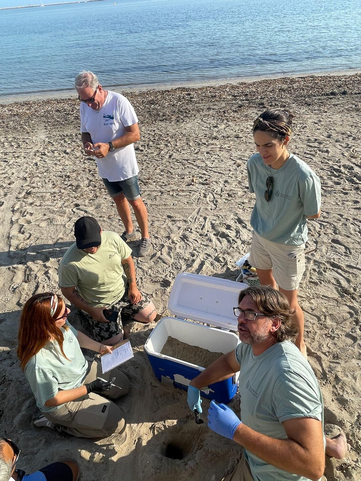 Trabajos en el arenal