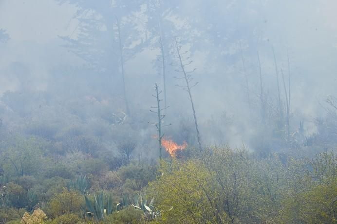 Incendio en la zona de Llano Grande