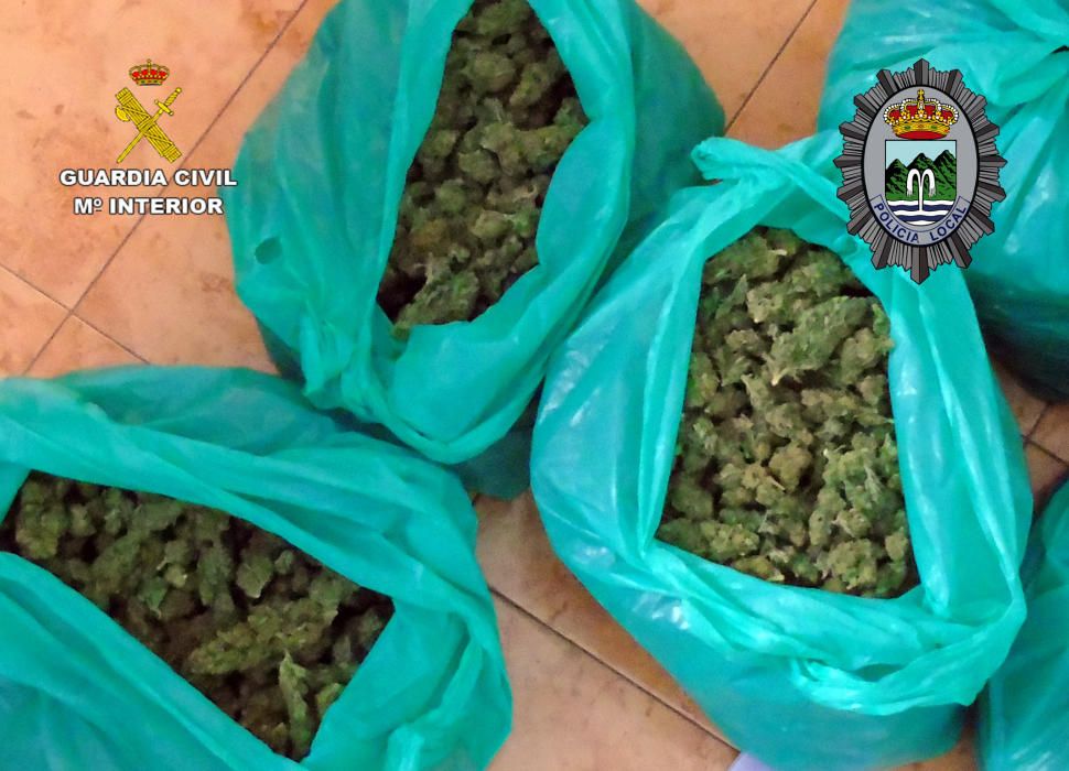 Detenidas in fraganti dos personas con más de seis kilos de cogollos de marihuana y 20.000 euros en Fortuna