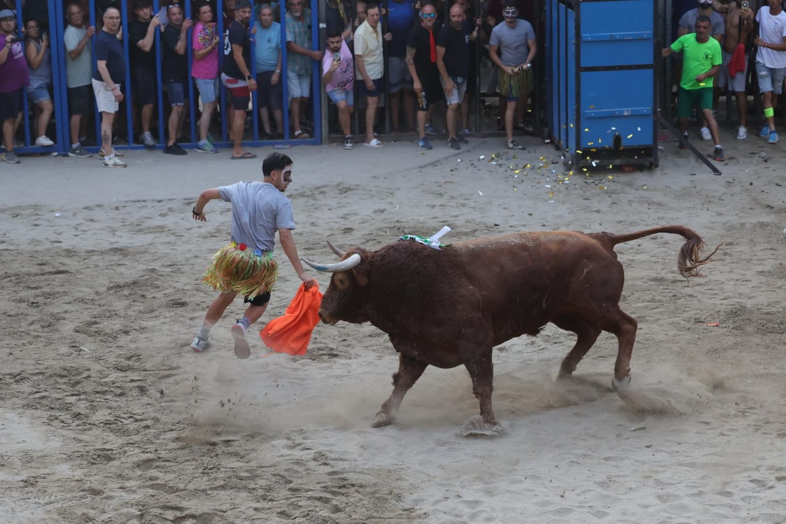 Galería | Intensa jornada taurina en Sant Pere 2025