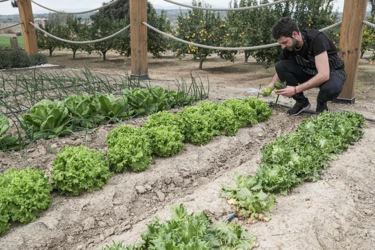 El huerto, con verduras de temporadas y plantas aromáticas abastece a ‘Tupío’.