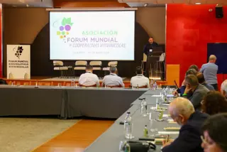 Buscan cooperativismo y relevo generacional en el sector del vino