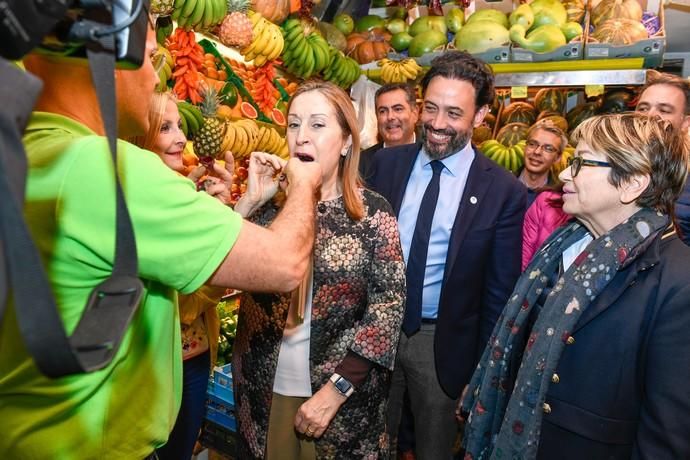 La presidenta del Congreso, Ana Pastor visita la capital Gran Canaria y participa en un desayuno con los medios de comunicación.  | 05/04/2019 | Fotógrafo: Juan Carlos Castro