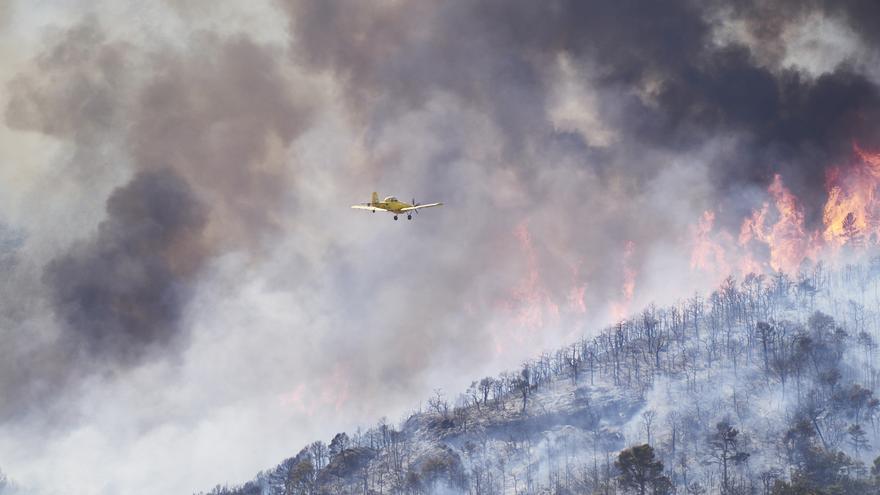 La responsable de incendios en WWF: &quot;La ola de calor se sabía y Castilla y León debía haberse anticipado&quot;