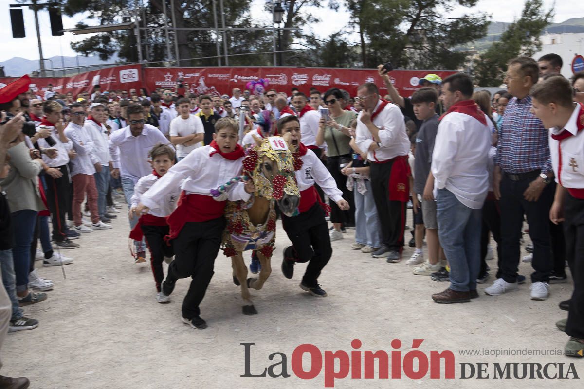 Fiestas de Caravaca | Desfile infantil del Bando de los Caballos del Vino