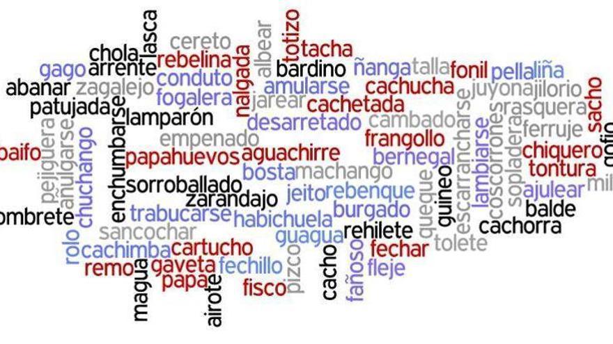 Estos son los canarismos favoritos elegidos por escolares de Canarias