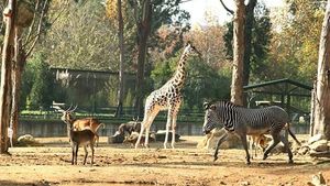 zoo santo inacio