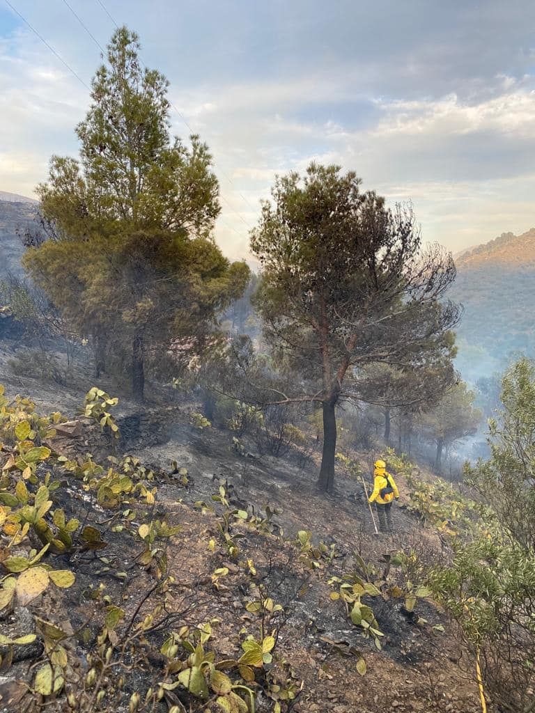 L'incendi que ha cremat a Portbou els dies 16 i 17 d'abril