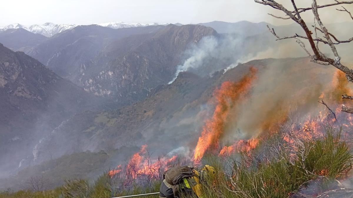 El viento dificulta la extinción de una treintena de incendios en Asturias