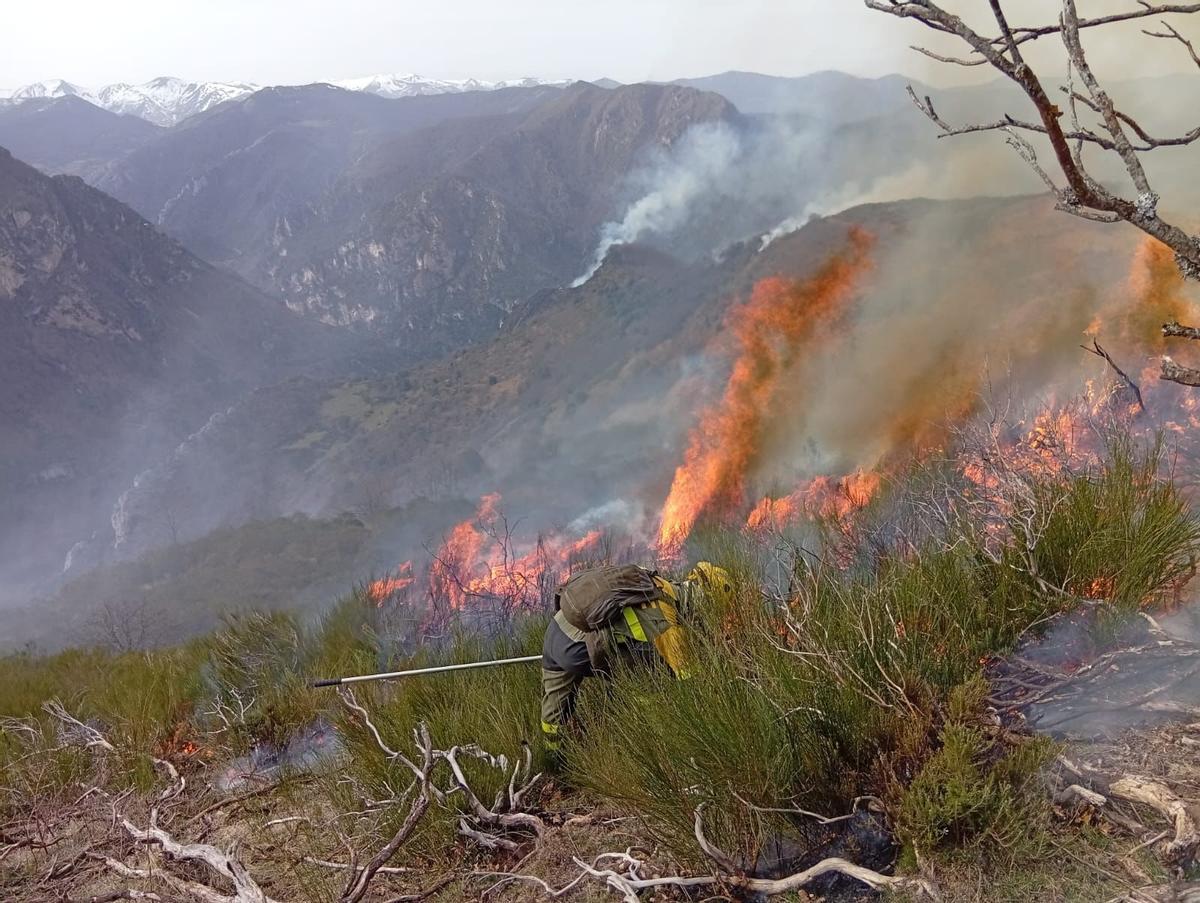 La Brif Tabuyo actuado en uno de los incendios de Cangas de Onís.