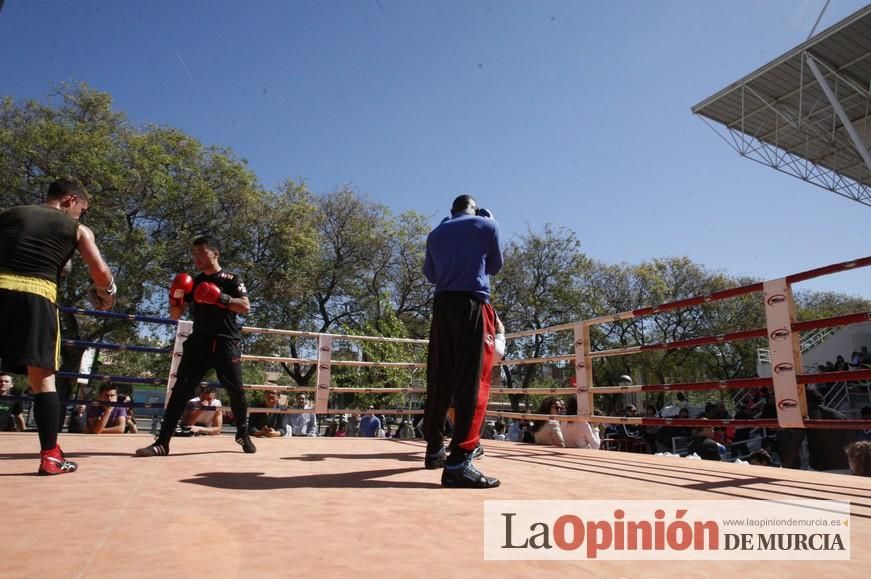 Fiesta del Deporte de Murcia (domingo)