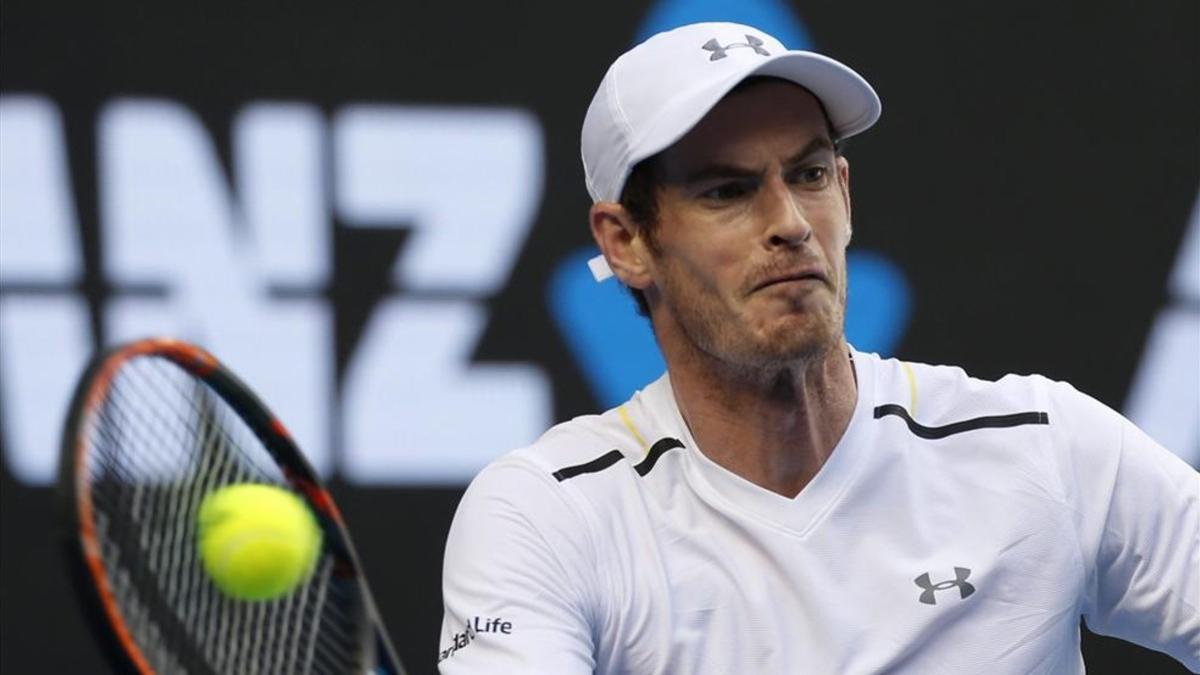 Andy Murray ante Sam Querrey