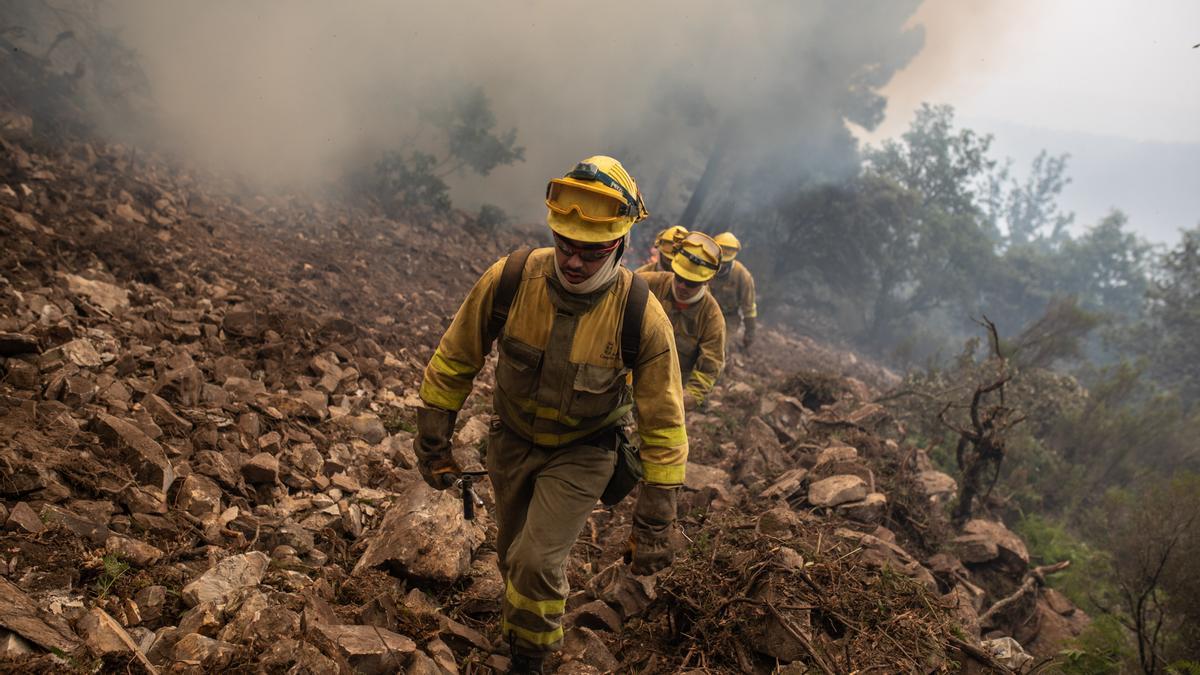 Bomberos durante el incendio de la Sierra de la Culebra el año pasado.